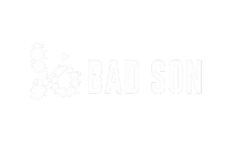 https://badsonofficial.us/